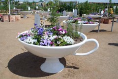 16-BUGA-2_Tasse