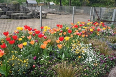 2003_BUGA-03-Fruehjahr